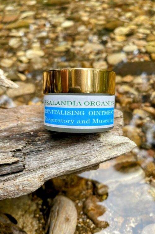 Organic Revitalising Ointment by Zealandia Organics in amber glass jar with gold lid, designed for muscular and respiratory relief